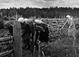 Пособия солдатским семьям в годы двух Мировых войн